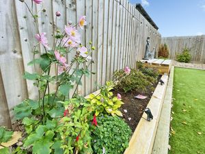 PINE WAY- click for photo gallery